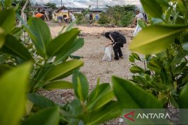 Pembersihan pantai di area konservasi mangrove Page 5 Small