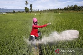 Ombudsman dukung perbaikan kebijakan tata kelola pupuk bersubsidi