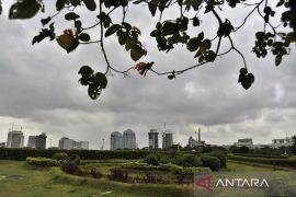 DKI Jakarta diprakirakan berawan, wilayah penyangga hujan ringan