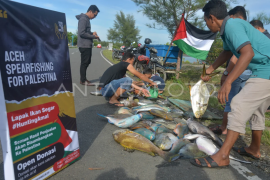 Lelang tangkapan ikan untuk donasi Palestina Page 1 Small