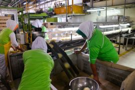 Kadin berharap pemerintah terus memperkuat industri nasional