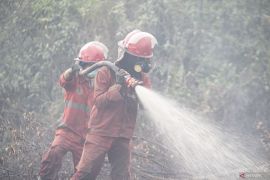 Manggala Agni masih berupaya memadamkan karhutla di Desa Jungkal Page 5 Small