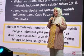 Khasiat temulawak untuk cegah 