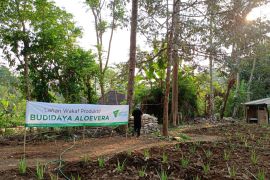 Pengelolaan wakaf produktif dengan teknologi akuntansi