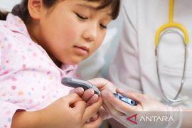 Dokter sarankan pasien diabetes konsumsi makanan dengan gula alami