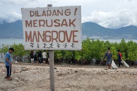 Pembersihan pantai di kawasan konservasi mangrove Page 5 Small