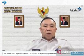 BKKBN: 57 persen ibu alami 