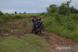 Kondisi jalan penghubung Way Haru-Belimbing Lampung Page 2 Small