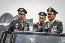 TNI bentuk Koops Habema untuk tangani konflik di Papua