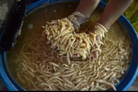 Produksi cendol meningkat di bulan Ramadhan Page 1 Small