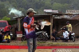 Ngabuburit dengan bermain burung merpati Page 2 Small