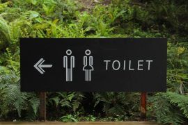 Kiat melatih anak menggunakan toilet secara mandiri