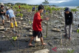 Tanam mangrove peringati Hari Air Sedunia di Palu Page 4 Small