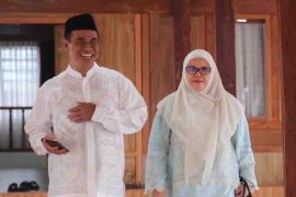 Mentan: Pemerintah gencarkan pompanisasi atasi dampak El Nino