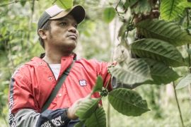 Rumah Hanasta komitmen dukung peningkatan sisi hulu Kopi Lamaole,Solor