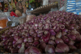 Harga bawang merah di Salatiga masih tinggi Page 1 Small