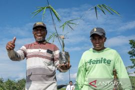 Hari Keanekaragaman Hayati Sedunia di Palu Page 4 Small