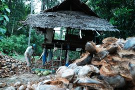 Produksi Kopra di Pulau Kabaena Page 2 Small