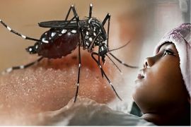 Dokter: Kenali gejala DB pada anak dengan konsep KLMNOPR