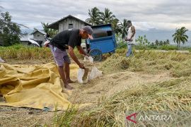 Serapan gabah dan beras petani Page 1 Small