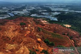 Tambang nikel: Manfaat ekonomi dan dampak kerusakan lingkungan