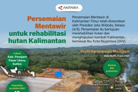 Persemaian Mentawir untuk rehabilitasi hutan Kalimantan