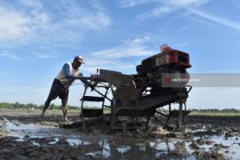 Pemkab Ngawi perluas lahan pertanian ramah lingkungan berkelanjutan