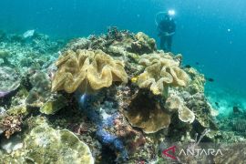 15 destinasi wisata indah di Raja Ampat
