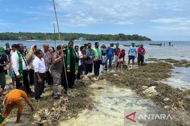 Sasi, tradisi dan siasat unik warga Pulau Lemon jaga habitat bahari