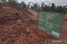 PT Antam revegetasi lahan di Konawe Utara Page 3 Small