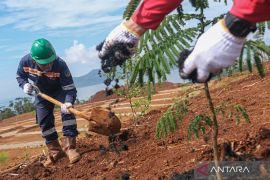 PT Antam revegetasi lahan di Konawe Utara Page 1 Small