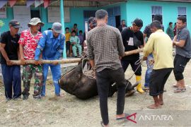 FOTO - Perayaan Hari Raya Idul Adha di Dumai Page 4 Small