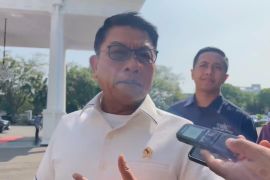 Legalisasi tanaman kratom dibahas Presiden dan menteri