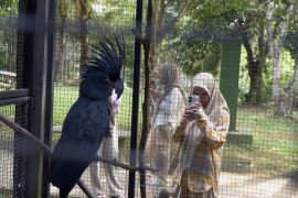 Liburan sekolah di Taman Margasatwa Lembah Hijau Page 3 Small