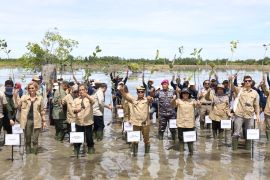 Gubenur Kaltara Mengikuti Penanaman Mangrove For Coastal Resilience