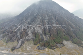 Luas lahan terdampak kebakaran Gunung Bromo Page 1 Small