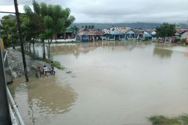 air sungai mulai meluap di sekitar bantaran sungai kawasan  Jembatan Palu III. Page 1 Small