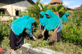 Gerakan serentak pemberantasan sarang nyamuk Page 1 Small