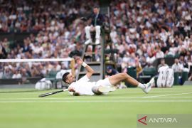 Tumbangkan Rune, Djokovic ke perempat final Wimbledon 2024