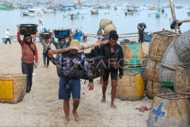 Panen ikan di PantaiÊKedongananÊBali Page 1 Small