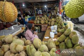 Percepatan ekspor buah durian dari Sulteng Page 4 Small