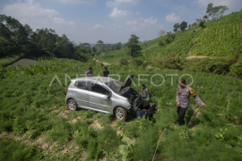 Kecelakaan mobil masuk ladang di lereng Gunung Merapi Page 1 Small