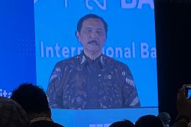 Indonesia incar Benua Afrika pasar baterai EV