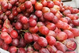 7 makanan sehat yang bantu menjaga fungsi ginjal tetap optimal