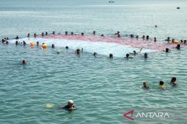 Pembentangan bendera Merah Putih di Teluk Palu Page 3 Small