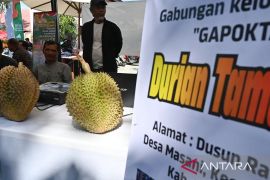 Ekspose produk pertanian dan pasar tani di Palu Page 1 Small