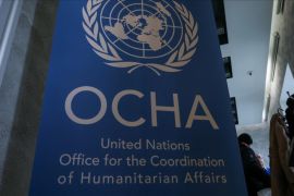 OCHA sebut 801 truk bantuan masuki Gaza saat gencatan senjata