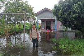 BNPB: Banjir di Medan surut setelah sejumlah pintu air dibuka