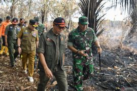 Kepala BNPB tinjau karhutla di Sumatera Selatan Page 1 Small