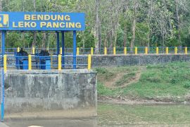 Debit air Bendung Leko Pancing turun drastis Page 1 Small